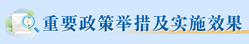 重要政策举措及实施效果