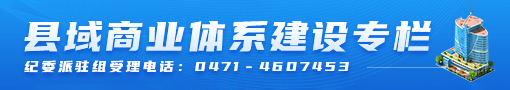 县域商业体系建设专栏